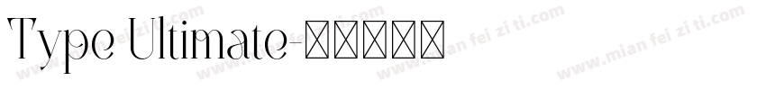 Type Ultimate字体转换